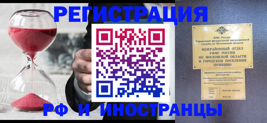 пропишу в квартире в Старом Осколе