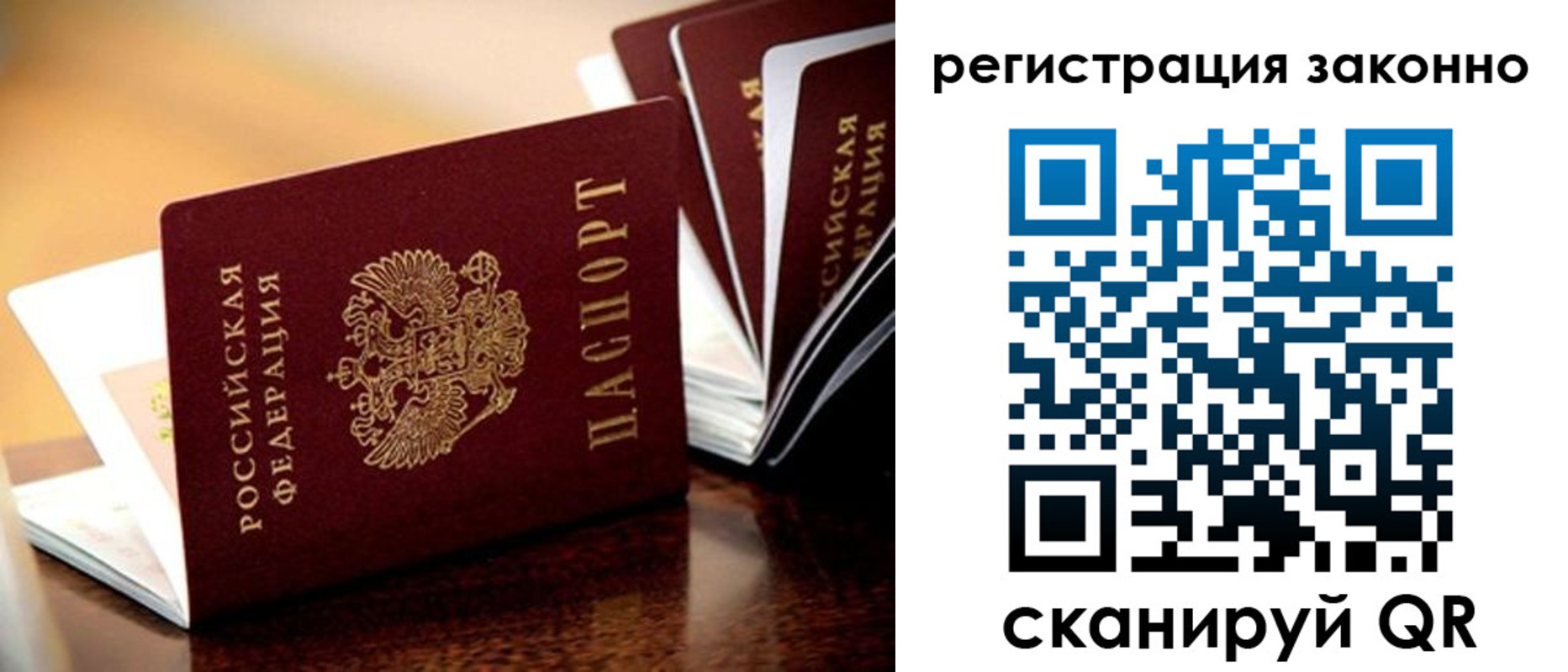 прописка для школы в Старом Осколе